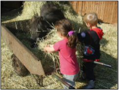 Fütterung der Tiere im Kindercamp